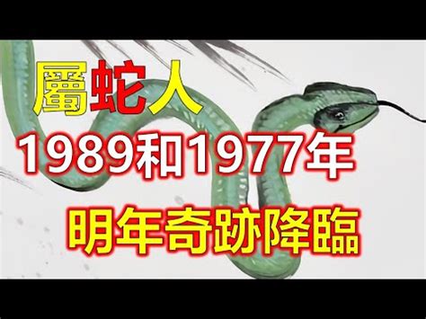 89年五行|1989年属蛇的是什么命，89年出生的蛇五行属什么